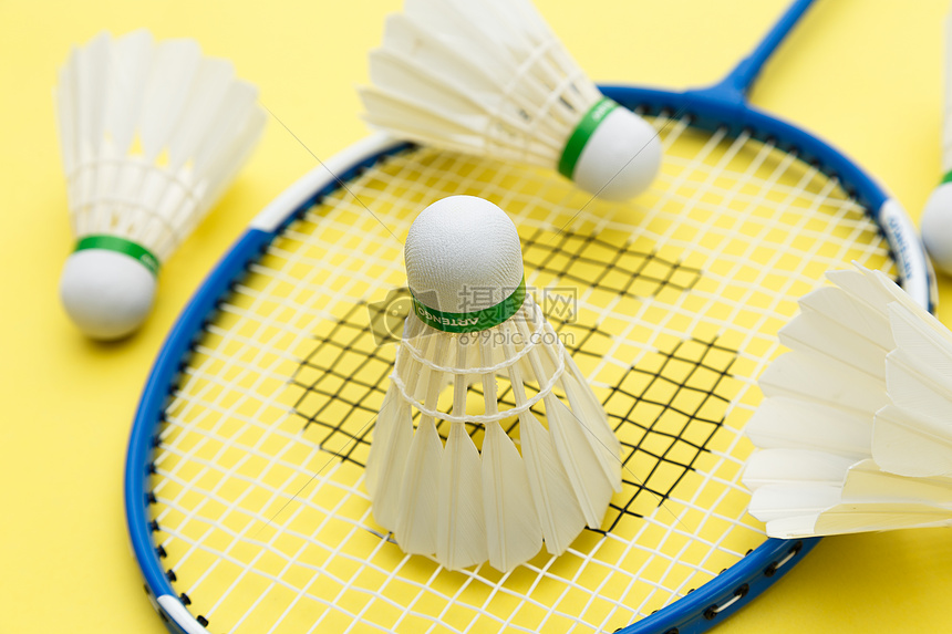 甲后卫转会 甲后卫转会