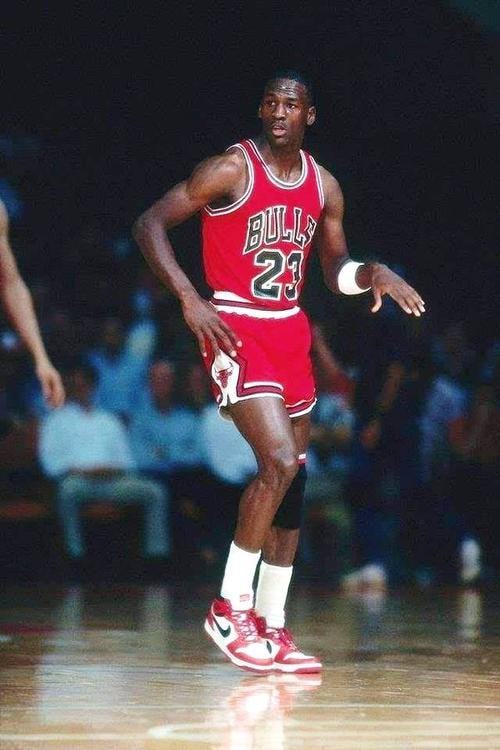 带来了新的 带来了新的